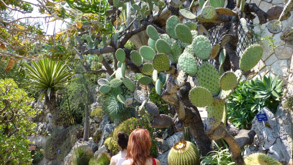 jardinexotiquedemonaco19.jpg