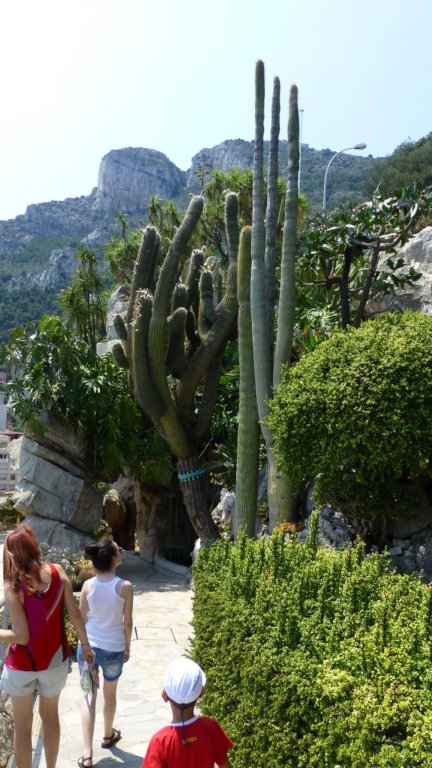 jardinexotiquedemonaco24.jpg