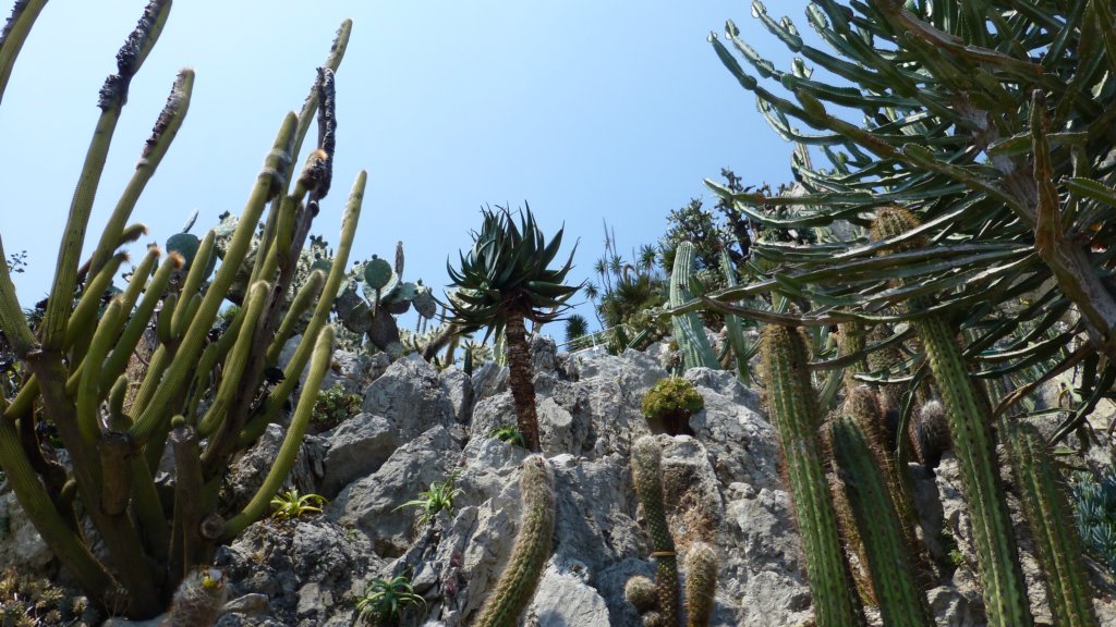 jardinexotiquedemonaco32.jpg