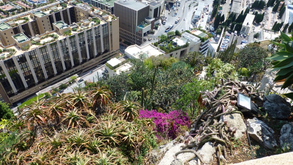 jardinexotiquedemonaco7.jpg