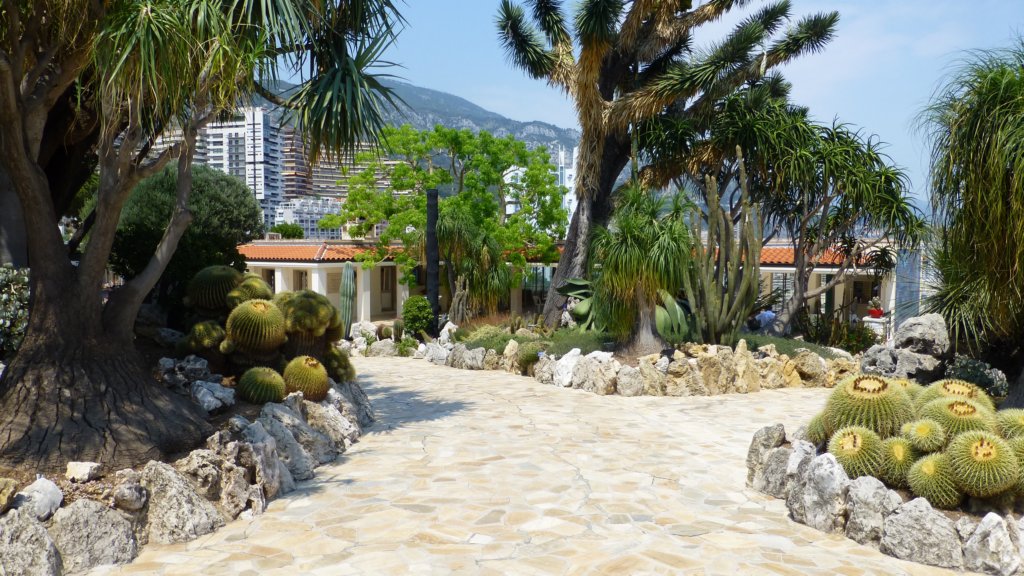jardinexotiquedemonaco8.jpg