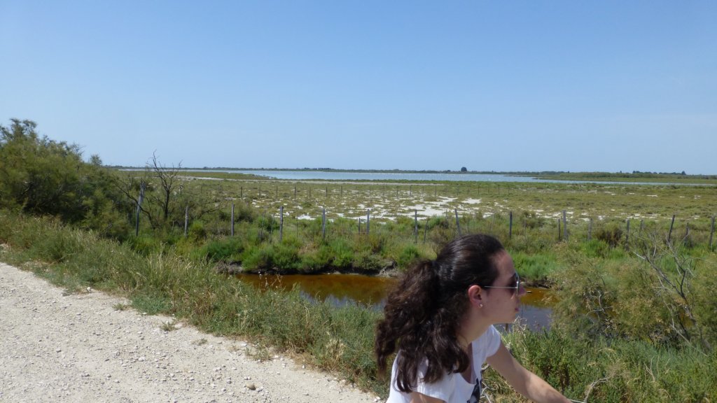 camargue3.jpg