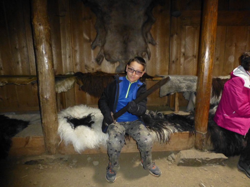 eiriksstadirvikinglonghouse13.jpg