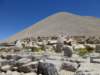 mountnemrut52_small.jpg
