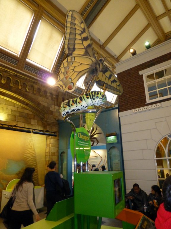 naturalhistorymuseum21.jpg